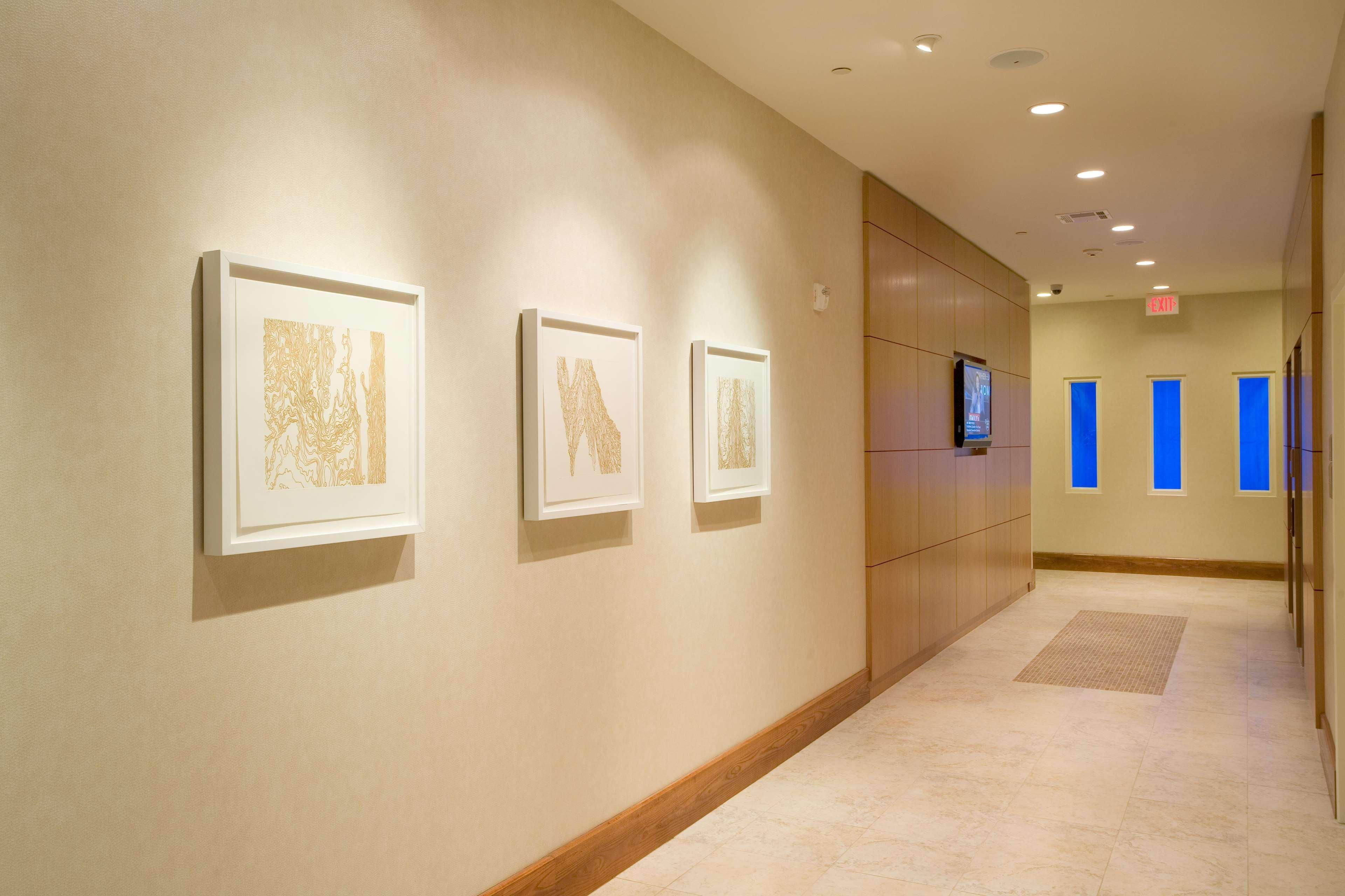 Hilton Garden Inn Dallas Richardson Εξωτερικό φωτογραφία